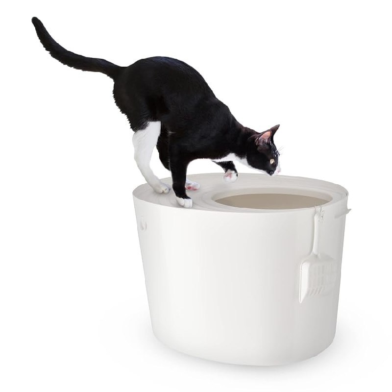 Iris Ohyama Lettiera Gatti fino a 50% Off Deal