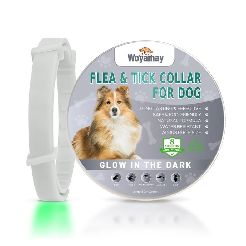 Collare Woyamay per Cani fino al 90% di sconto Deal