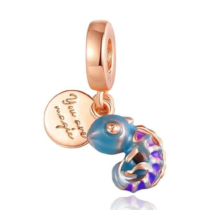 Rimgoris 925 Charm fino al 30% di sconto Deal