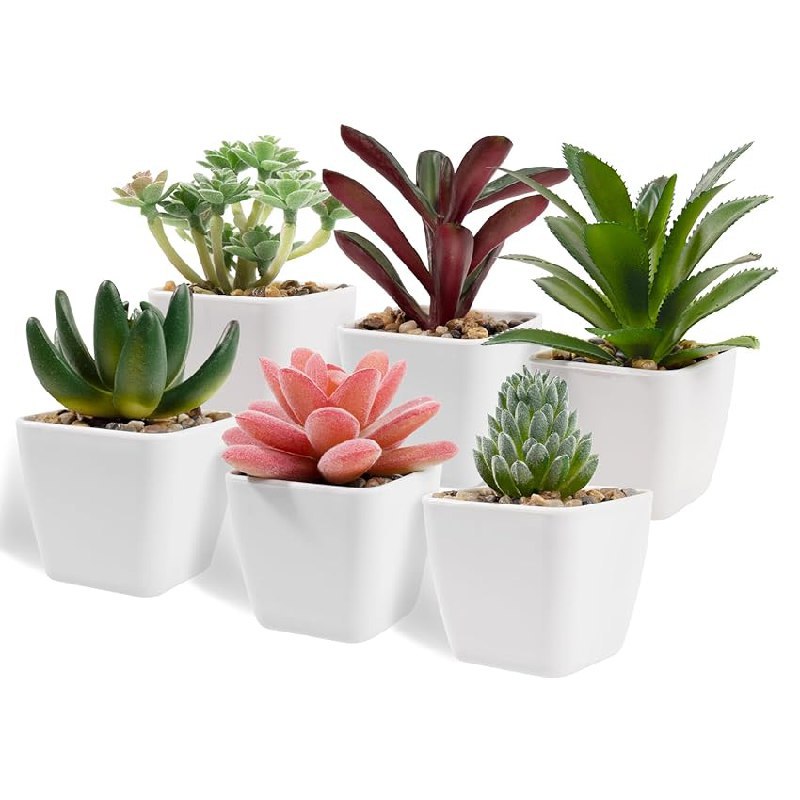 6 Pezzi Piante Finte: fino al 20% di sconto su Amazon