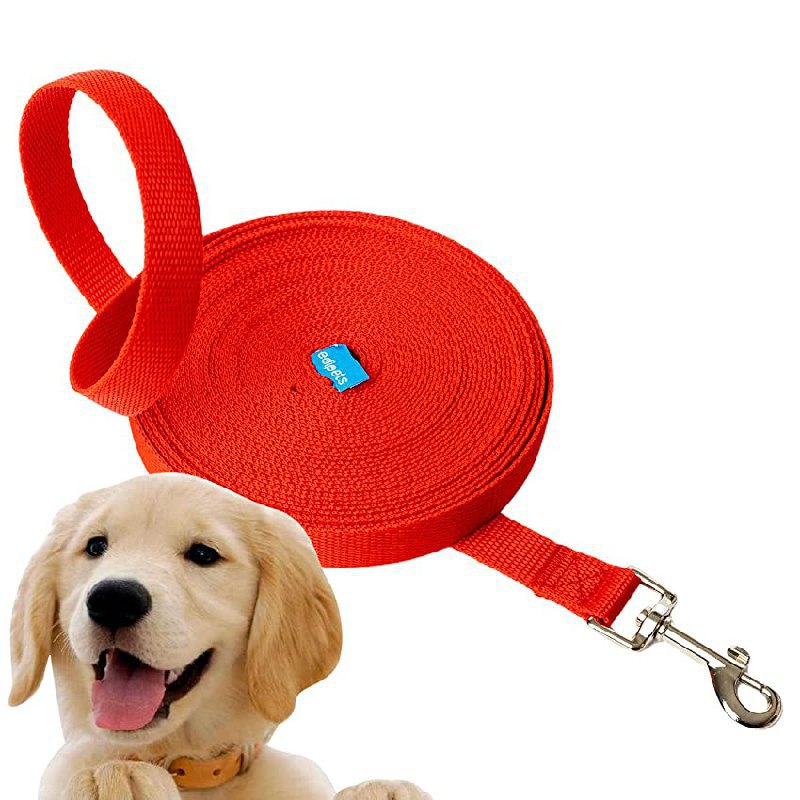 Guinzaglio per Cani 3m: fino al 45% di sconto Deal