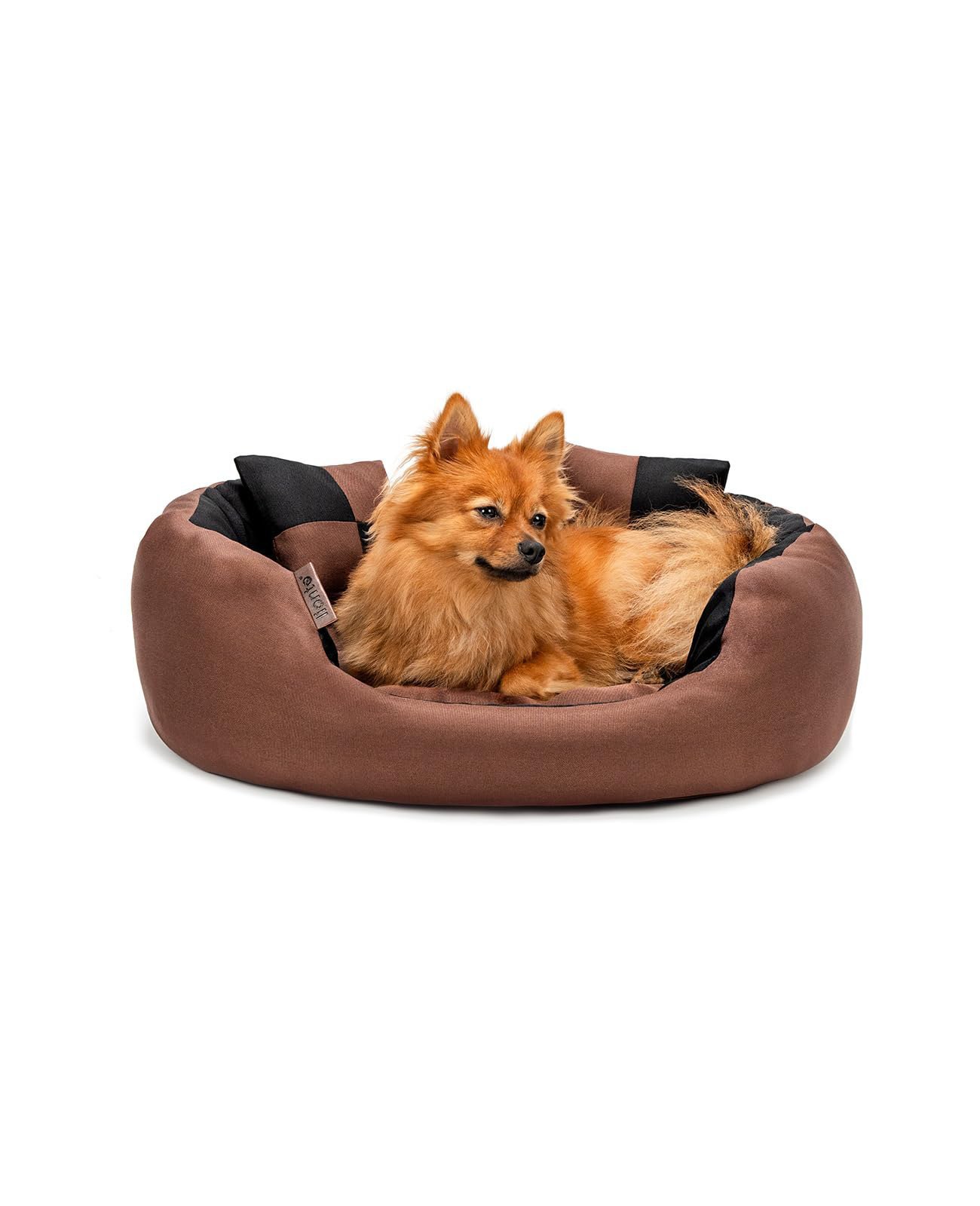 lionto 4 in 1 Lettino per Cane fino al 20% di sconto Deal