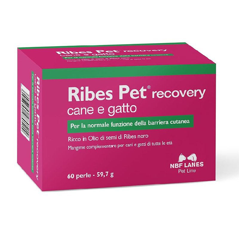 Ribes Pet Recovery: fino al 10% di sconto su Amazon