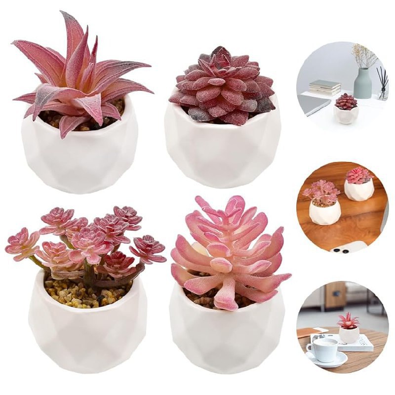 ADERTOS Piante Grasse Finte: fino al 50% di sconto Deal
