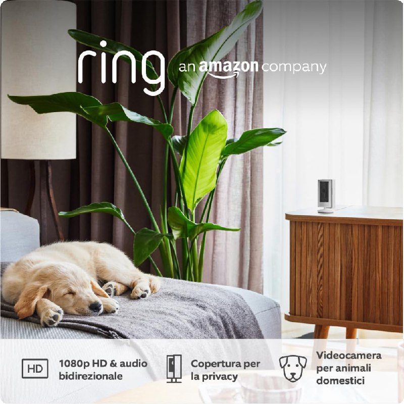 Ring videocamera interna: fino al 14% di sconto Deal